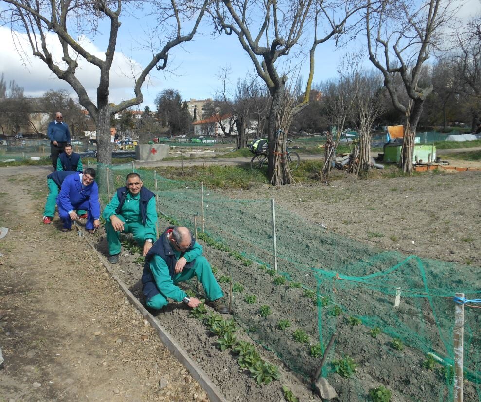 Comienzan los Huertos Ecosociales